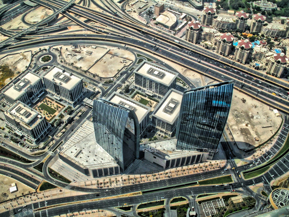 the of birds art by gordynodrog