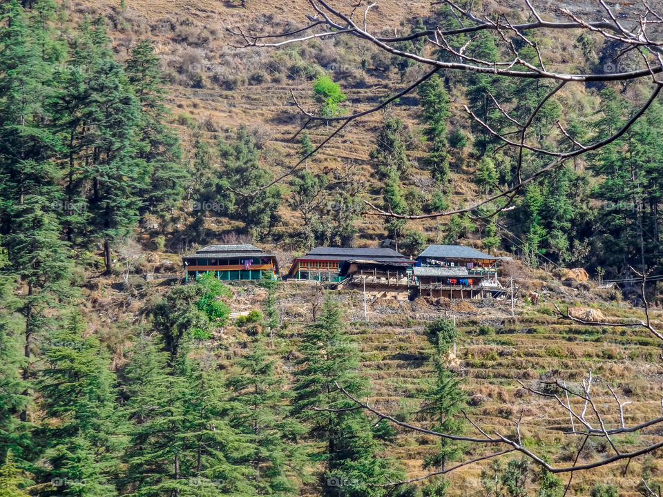 Fall season in india, Himachal Pradesh , India , tourism 