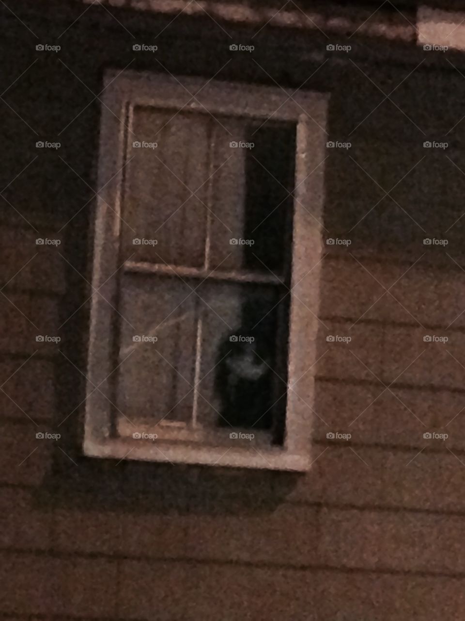 Creepy doll in the window 