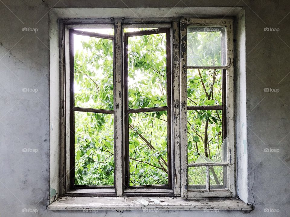 Window