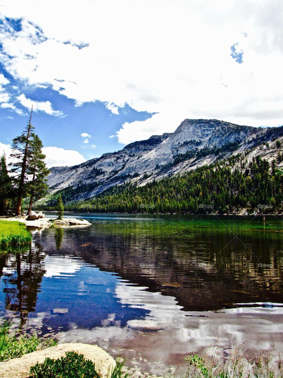 Yosemite 