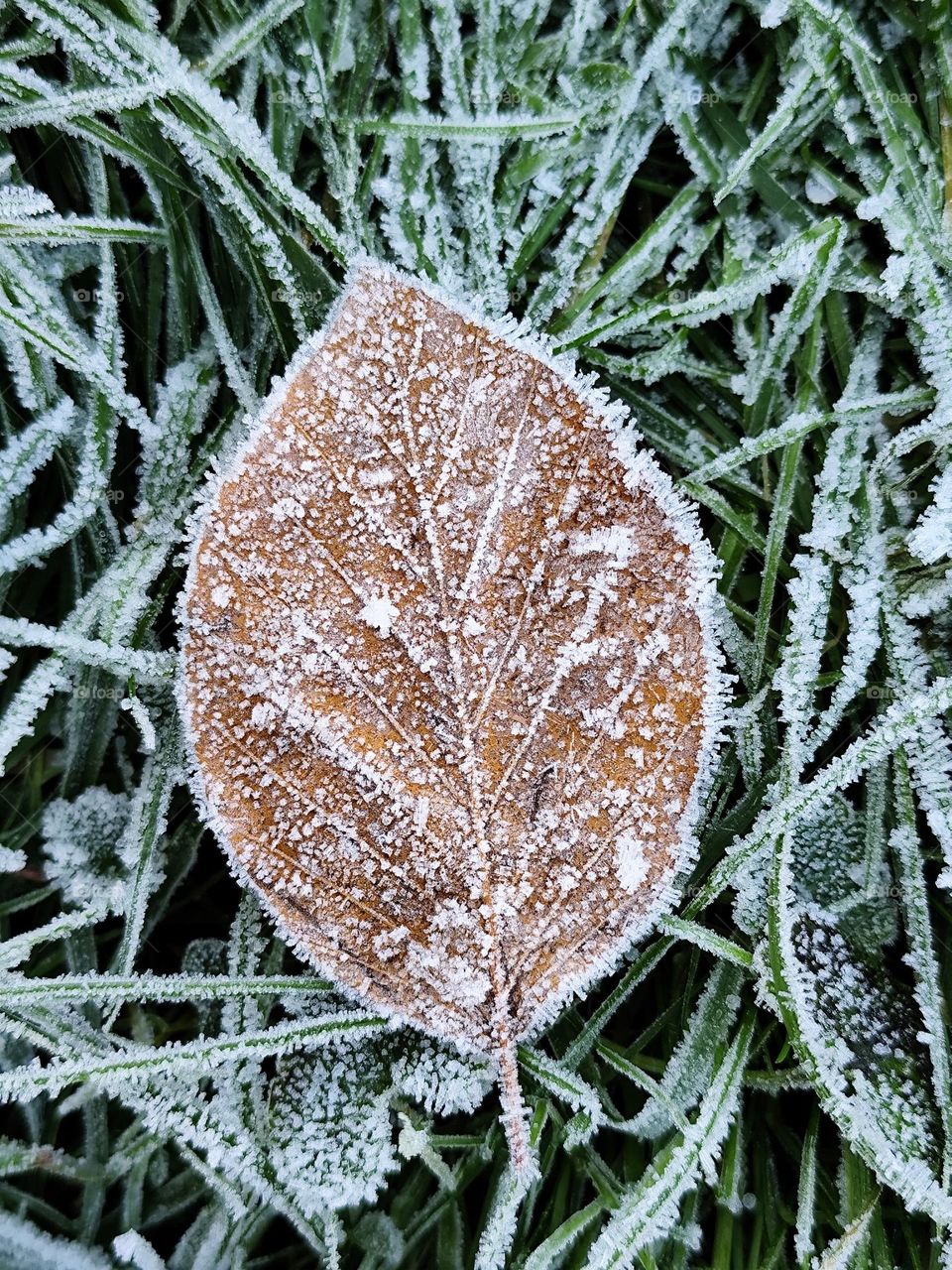 first day of winter