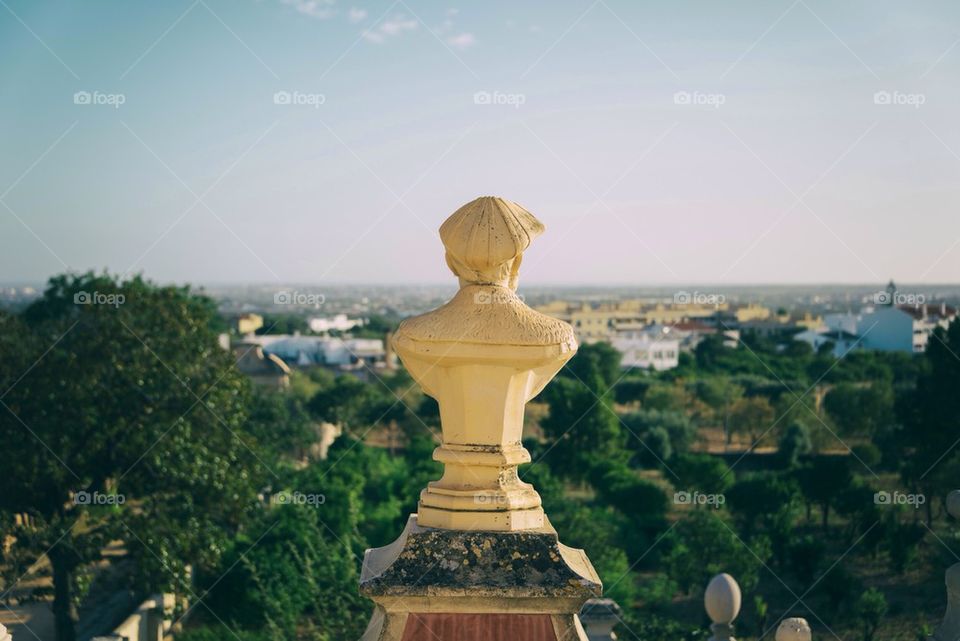 Rear view of a statue