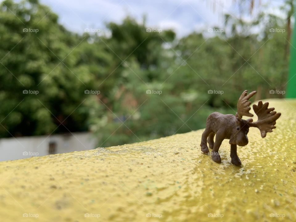 Little noose on yellow background 