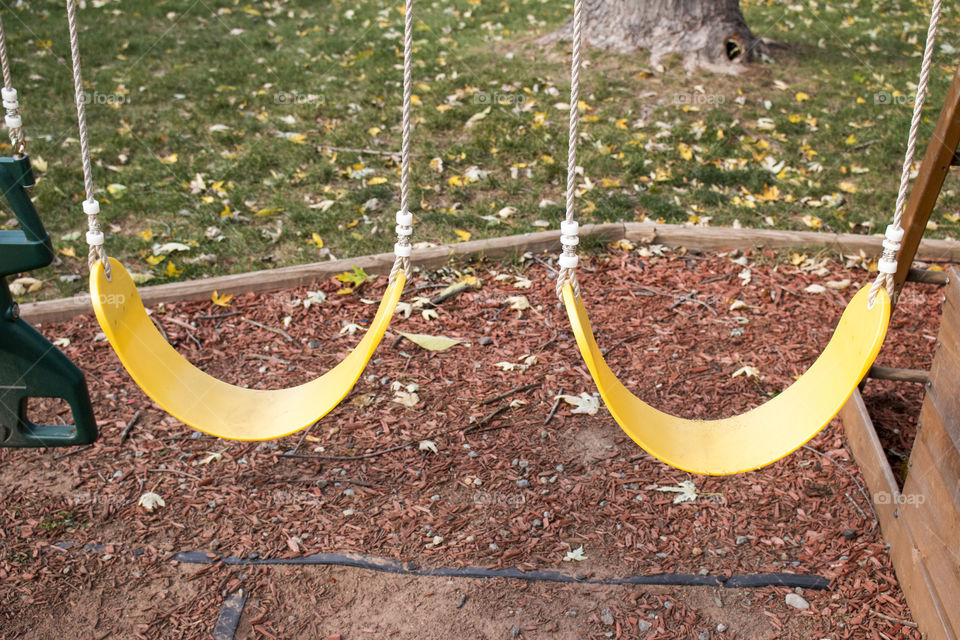 Yellow swings