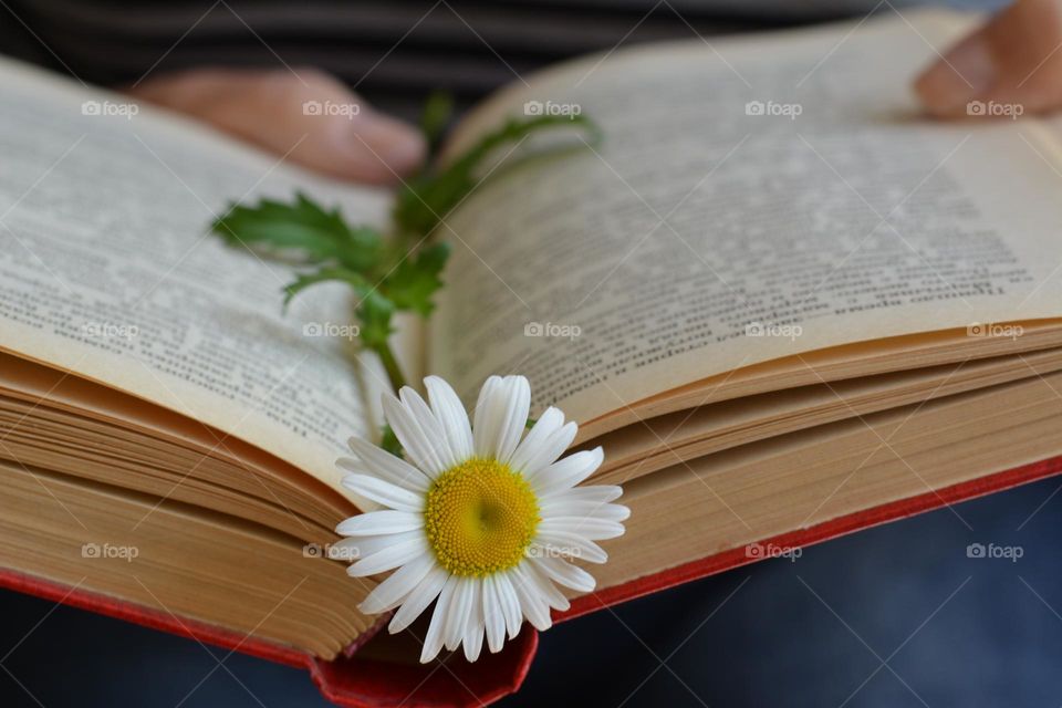 reading book lifestyle, book in the hand and flower
