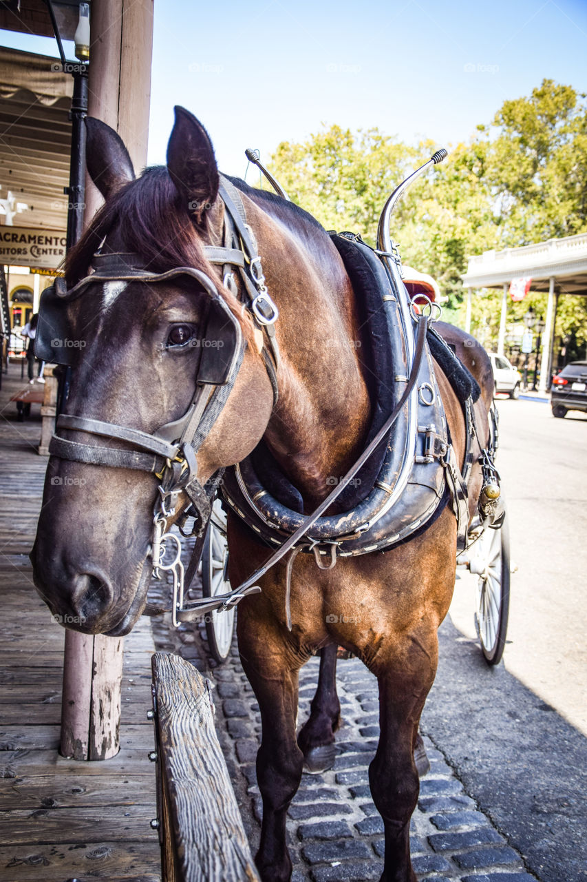 Old Town Sacramento