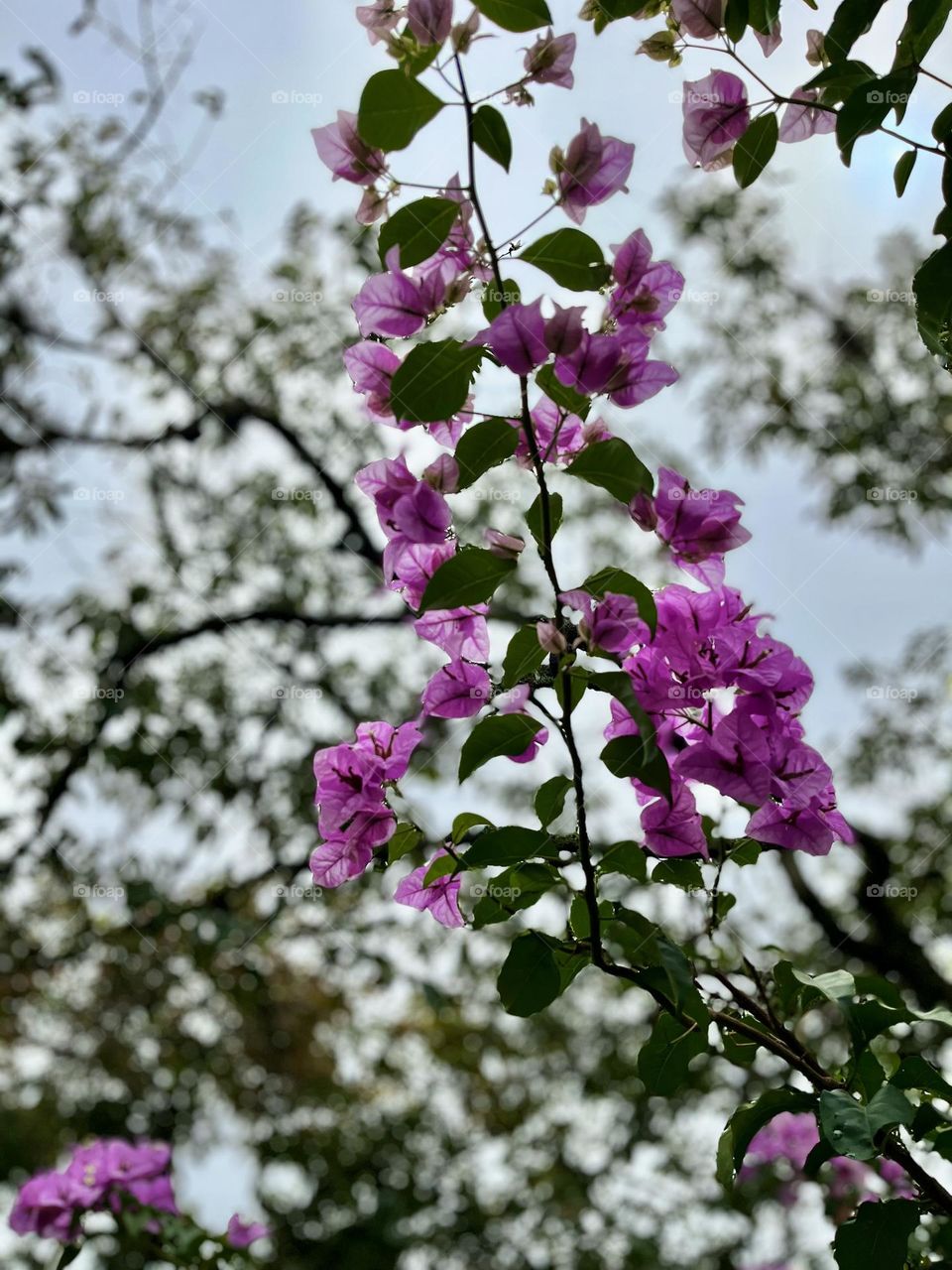 A beautiful earth day