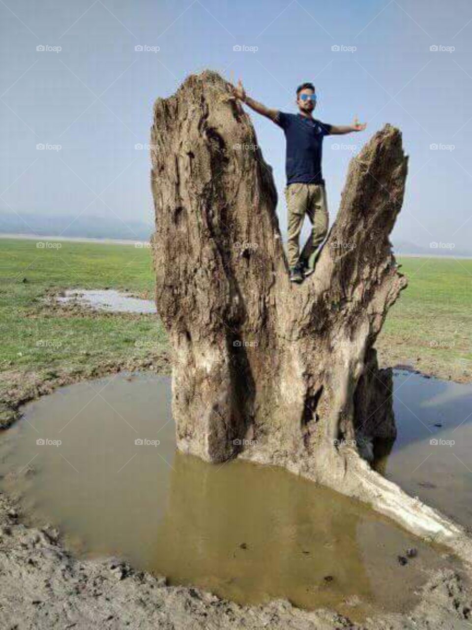 nature created this by itself is not handmade the water is all around the tree its look like the sign of victory