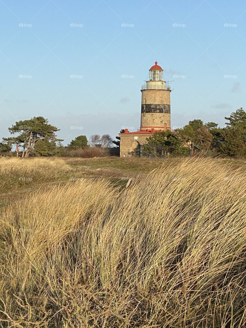 Lighthouse Ahead 