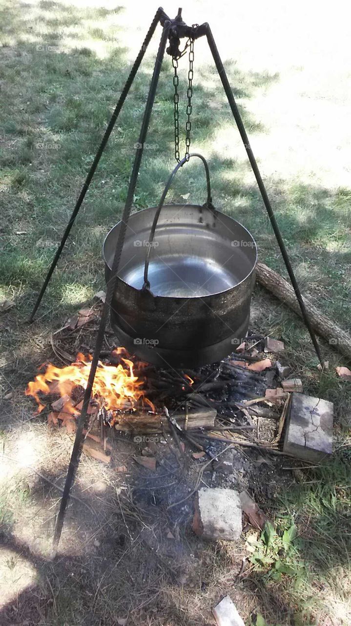 cooking in the wood