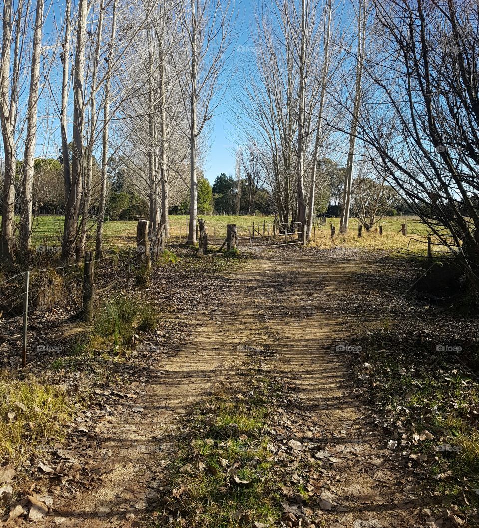 Rural laneway