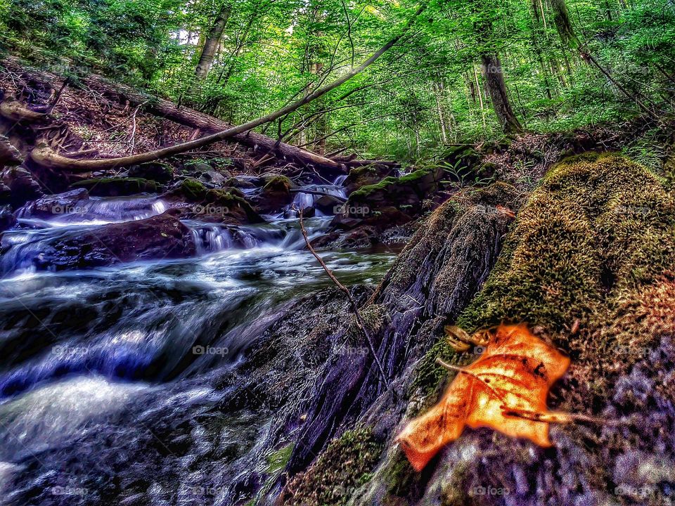 A stunning waterfall . A stunning waterfall cutting through the forest. 