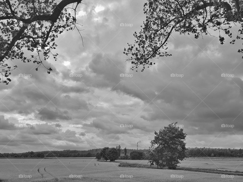 Black and white landscape