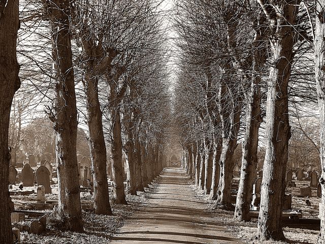 Cemetery 