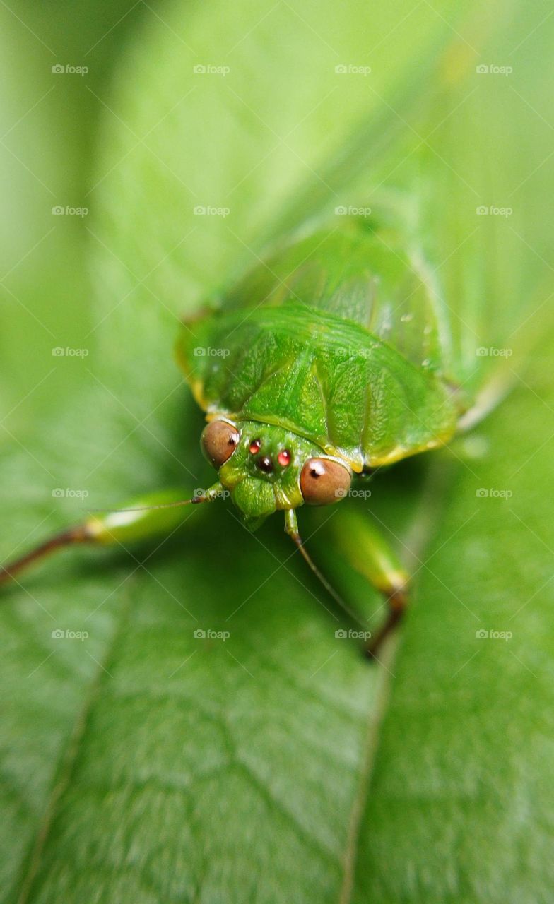 Editors' Choice: Photo of the Week