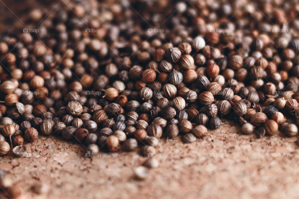 Coriander seeds