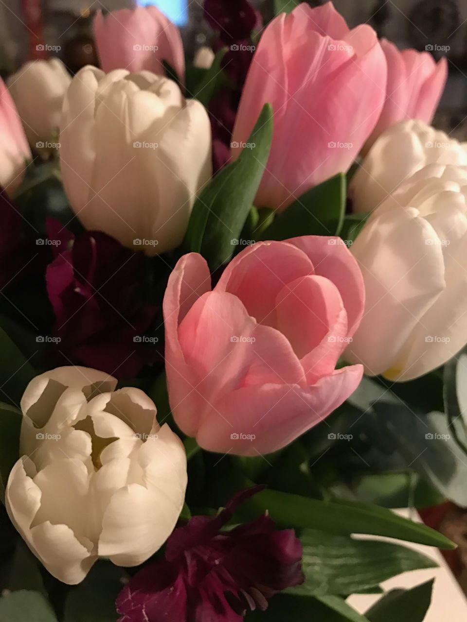 Flower, Love, No Person, Bouquet, Tulip