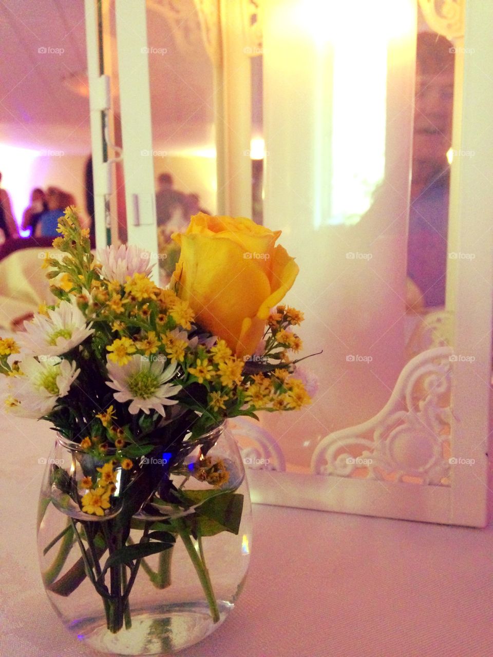 Soft glowing flowers