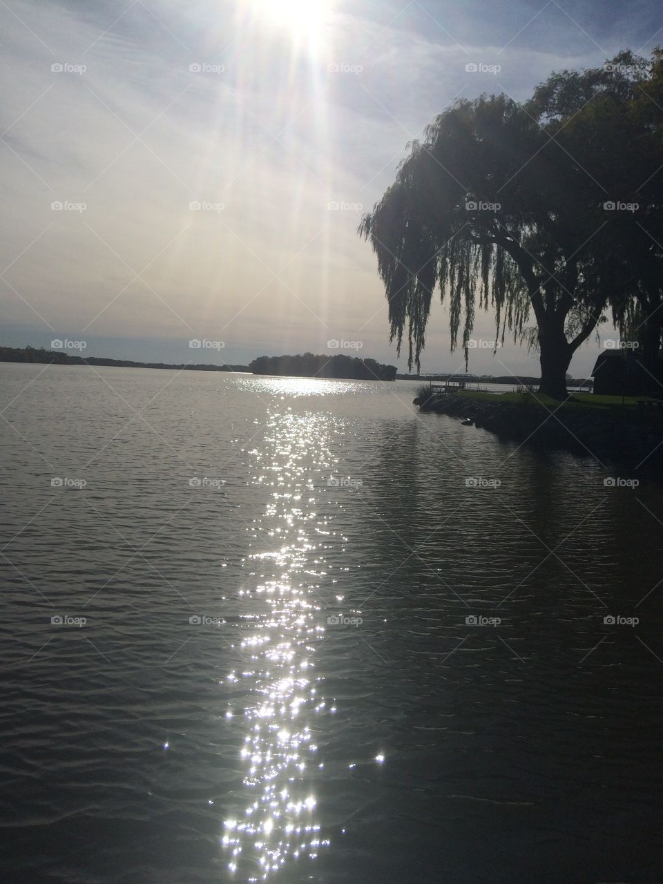 Water sunlight on water reflections island weeping willow tree leaves outside green grass sky clouds beautiful nature 