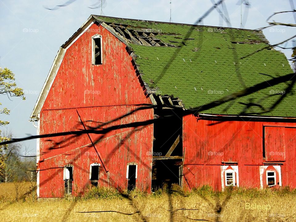 Red Barn Green Roof