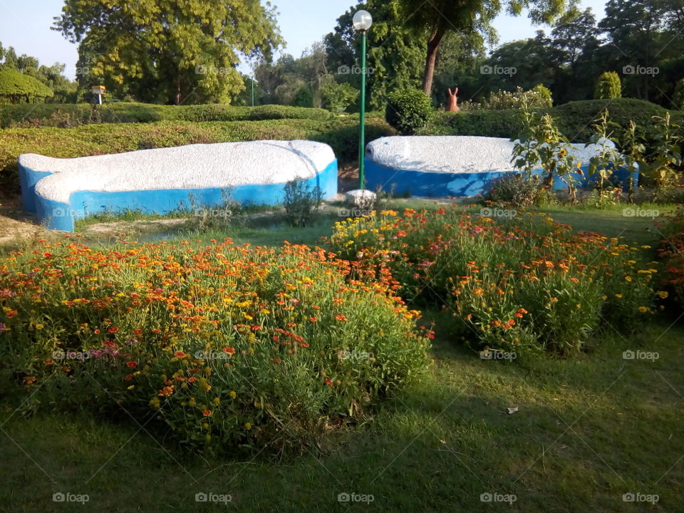 a beautiful sight in a garden