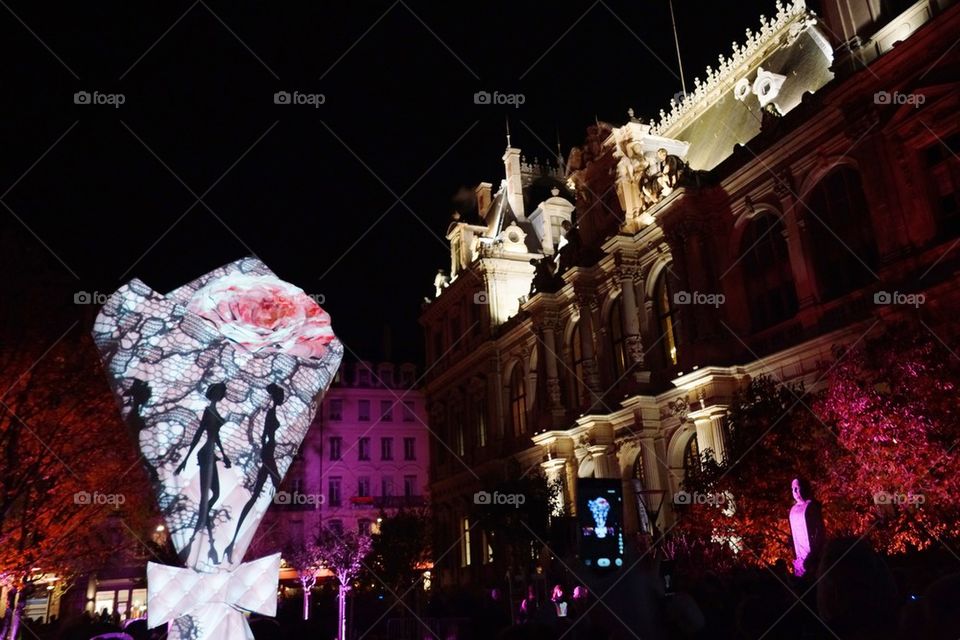 Fête des Lumières Lyon 2013