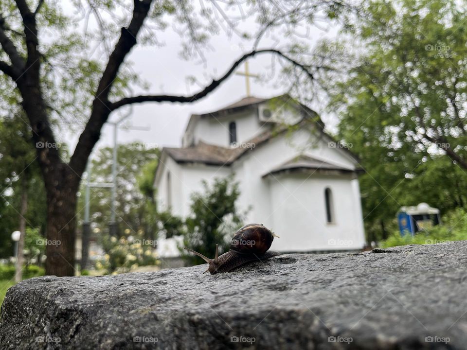  Church and beautiful nature