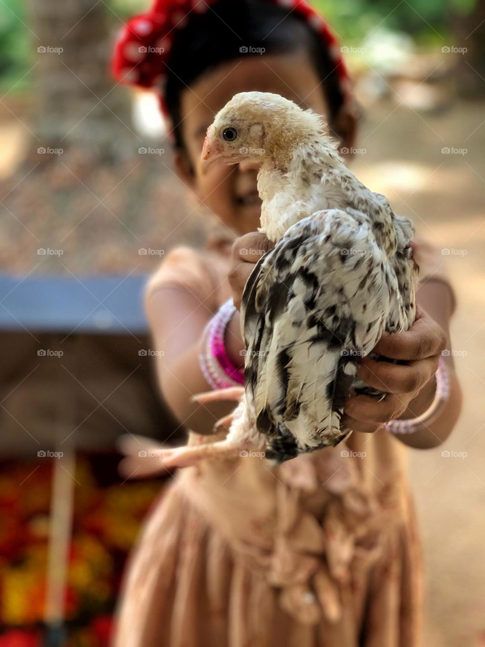 Pets are more important 