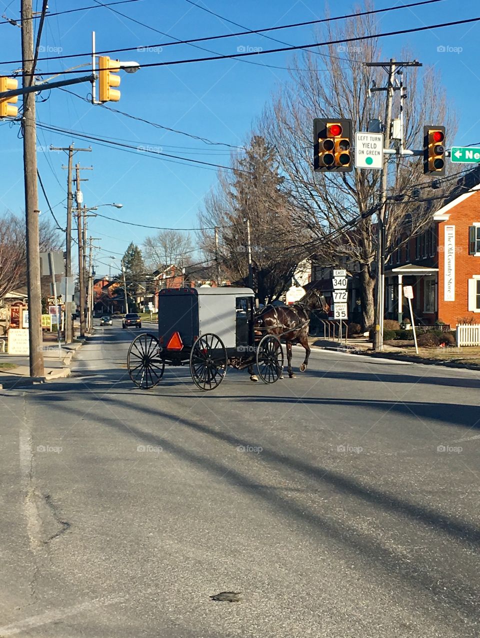 Horse and Buggy 