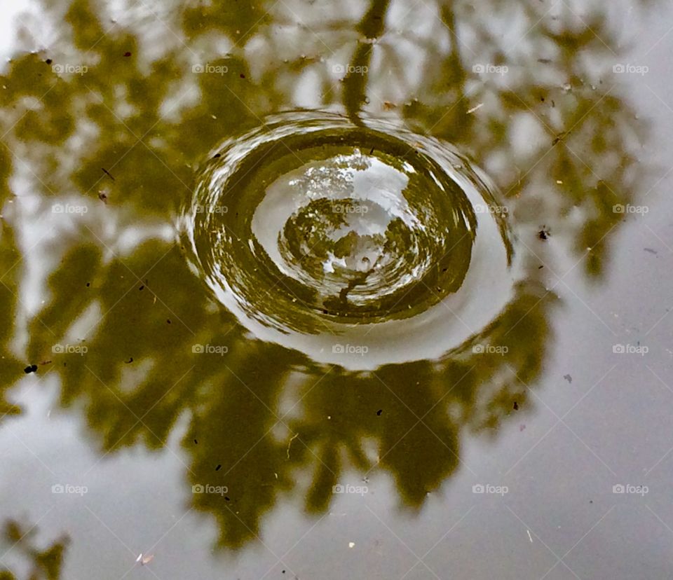 Bubble reflecting a tree 