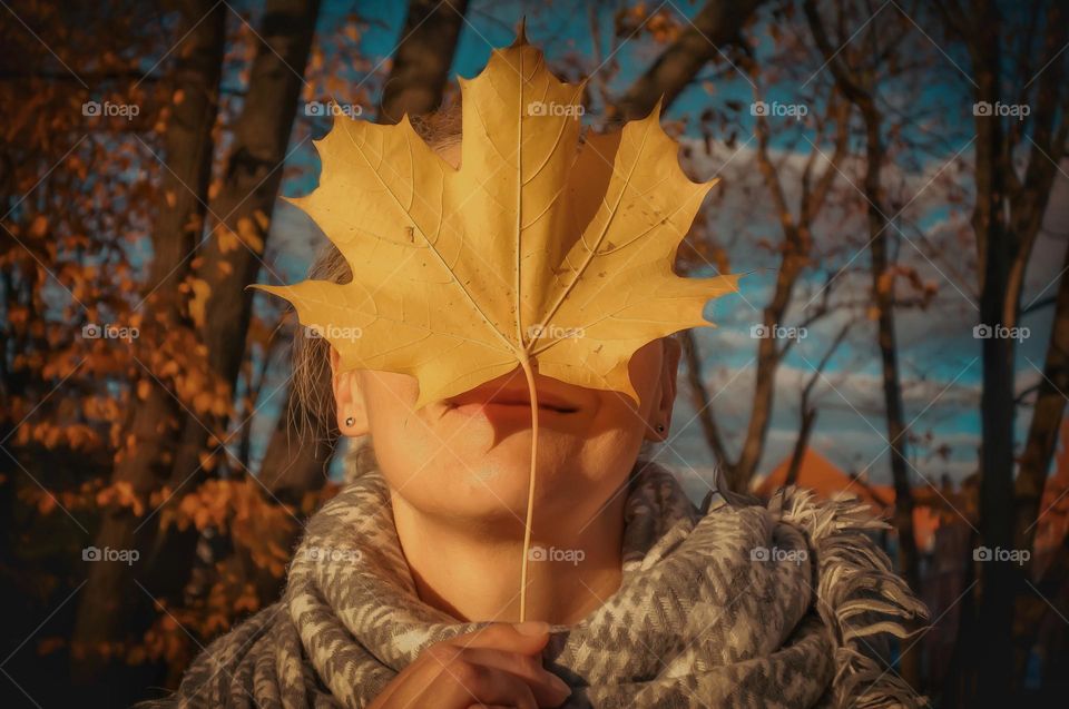 Leaf autumn