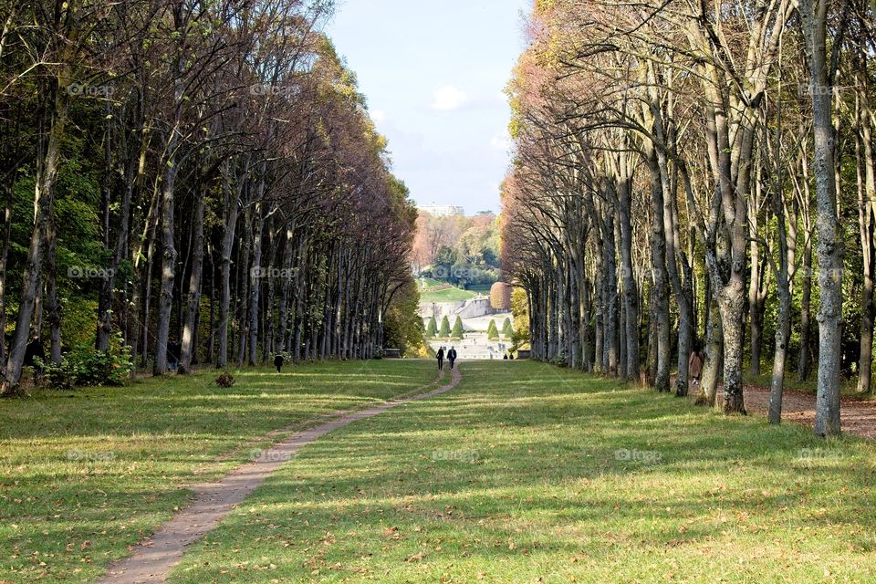 people walking in the park