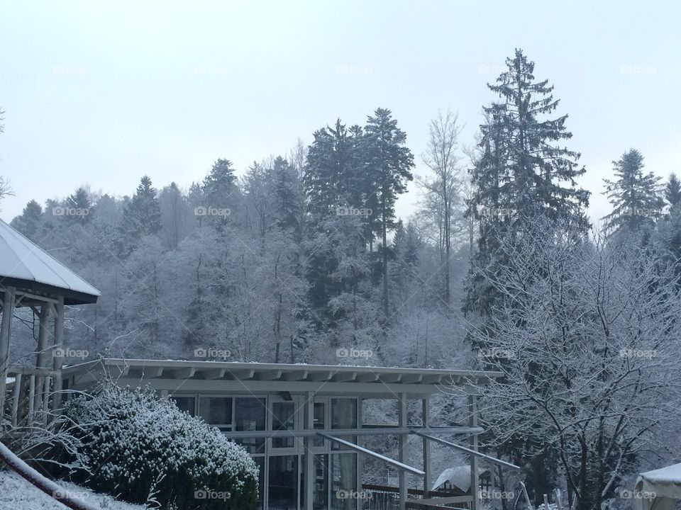 Snowy morning