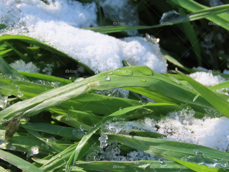 The inconstancy of spring weather