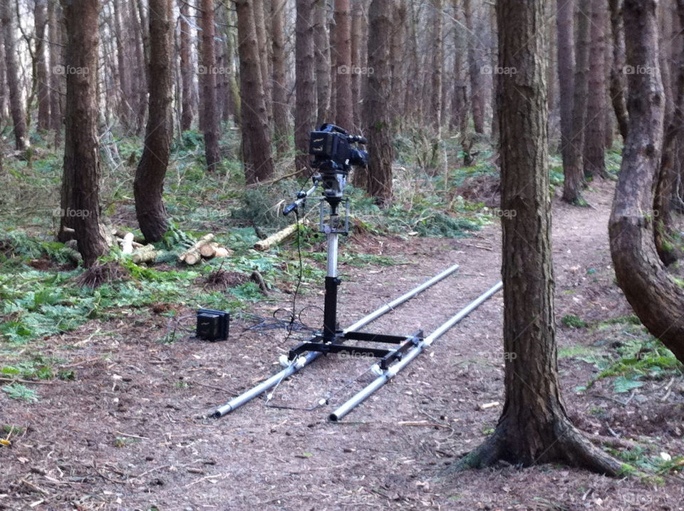 equipment woods camera film by randomandom