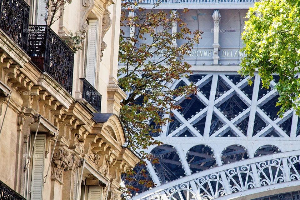 the facade of the house