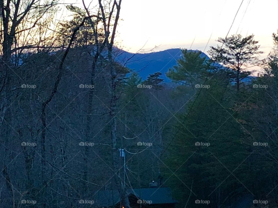 Blue Smokey Mountains shrouded with trees. 