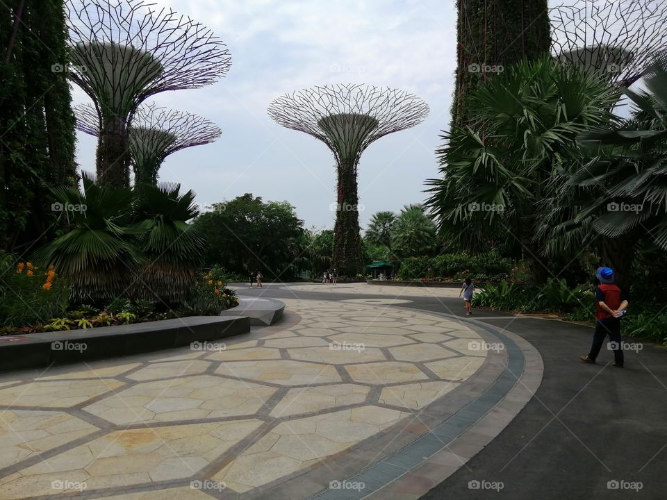 Garden by the bay Singapore