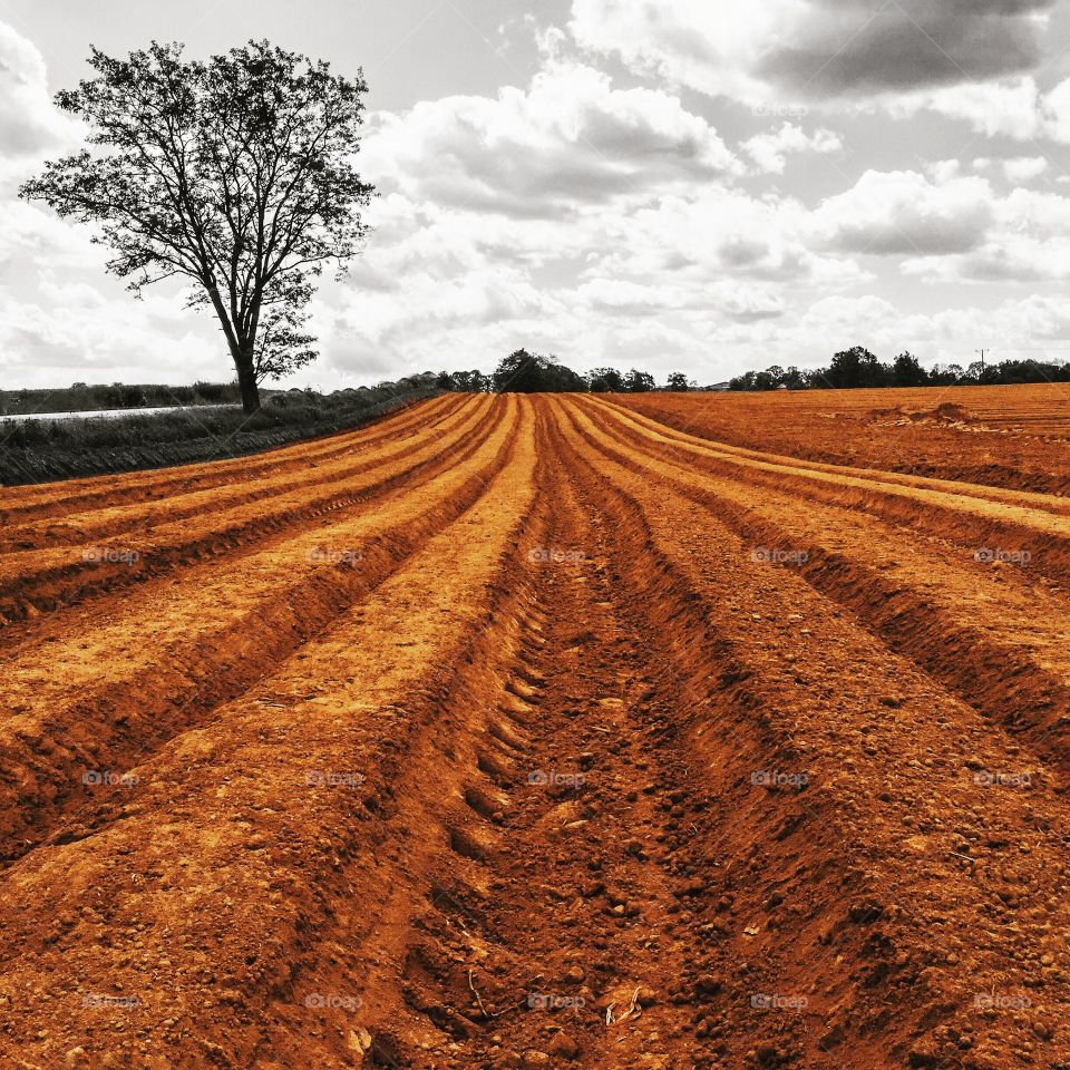 Soil, Agriculture, No Person, Rural, Cropland