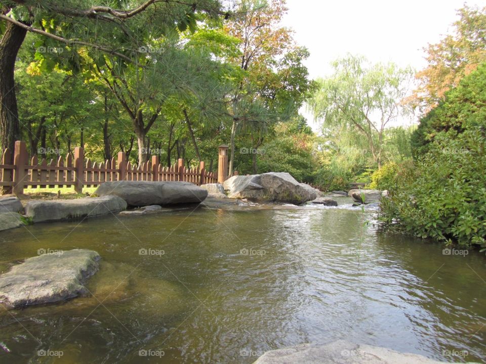 Water Stream in Park