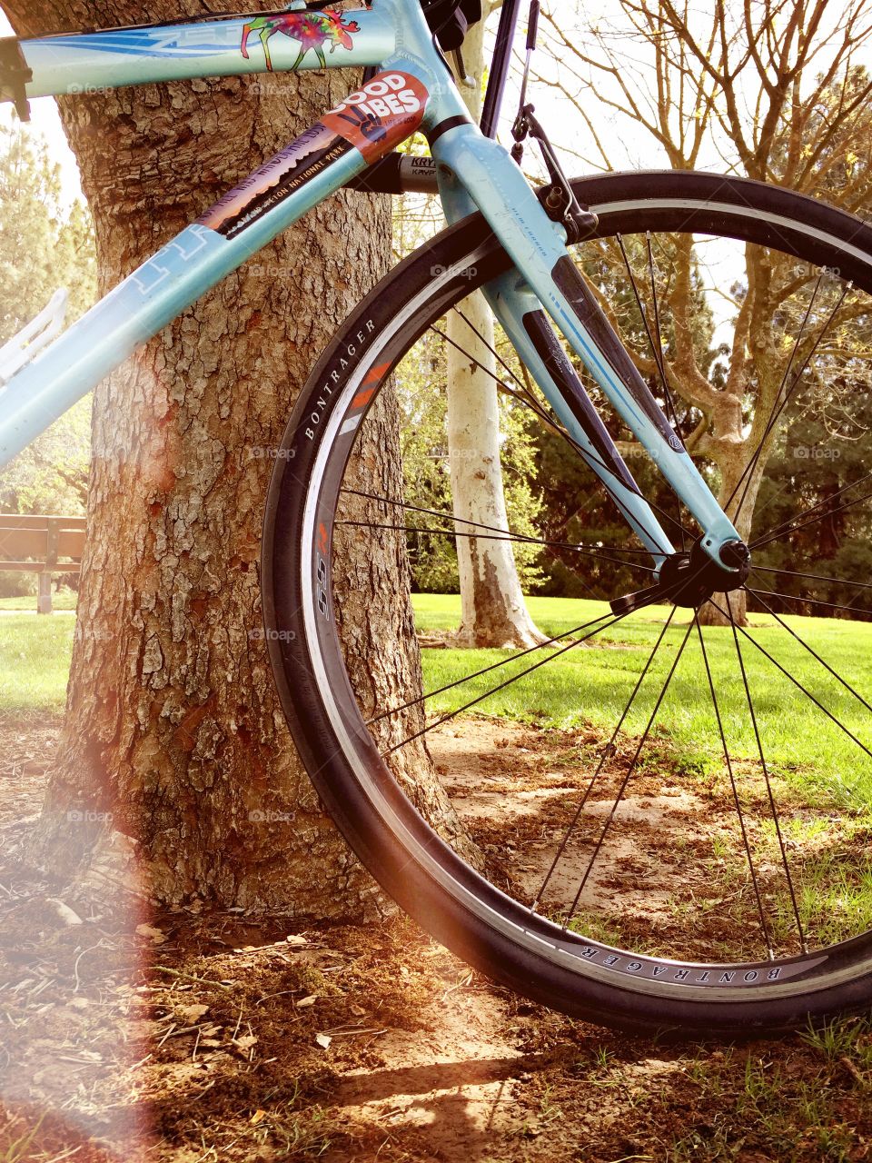 Study Brake. Bicycle in the Davis, Arboretum