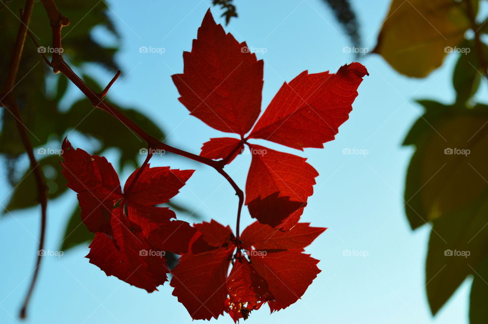 autumn is here