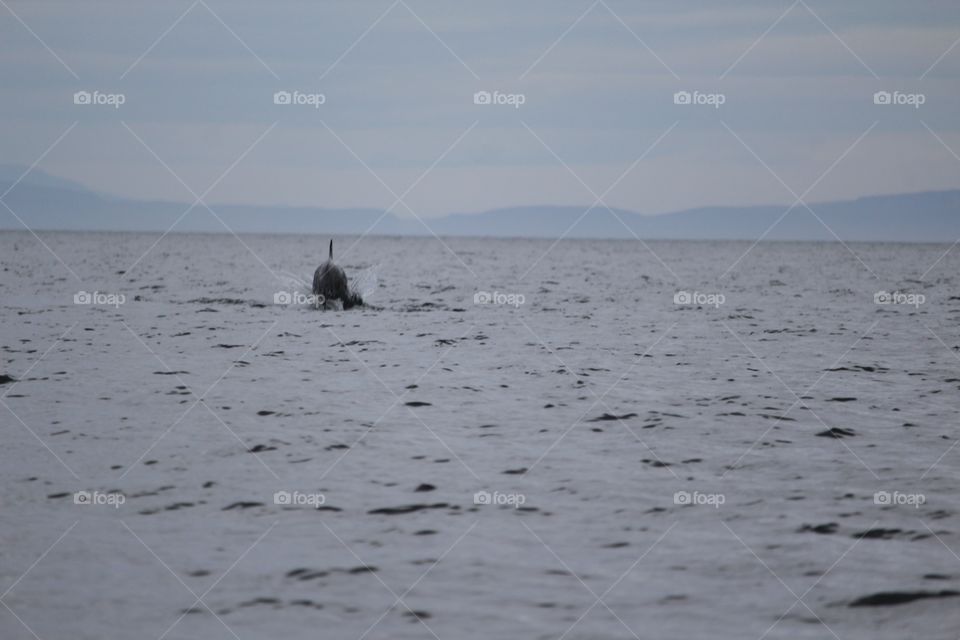 Water, No Person, Sea, Ocean, Sunset