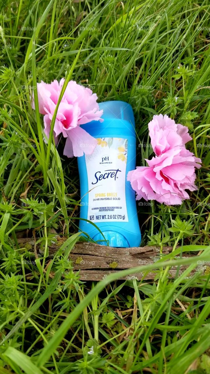 Secret Spring Breeze Flat Lay