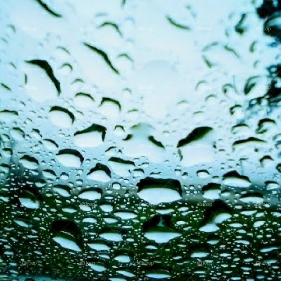 rain drops on the window