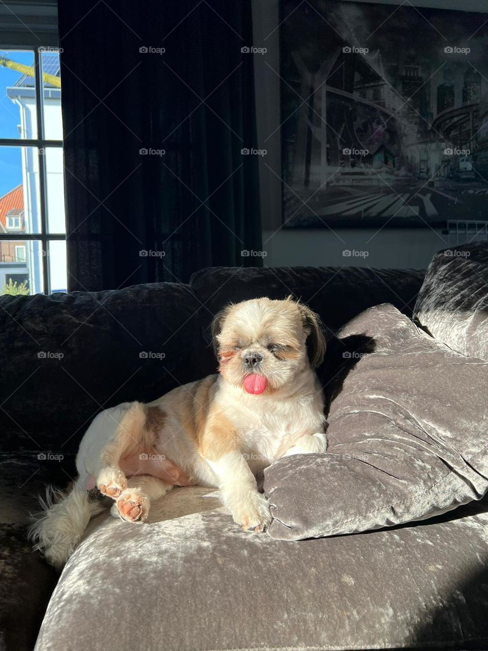 Sunbath on the couch