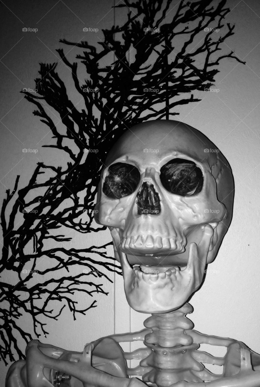 Just hangin' around...