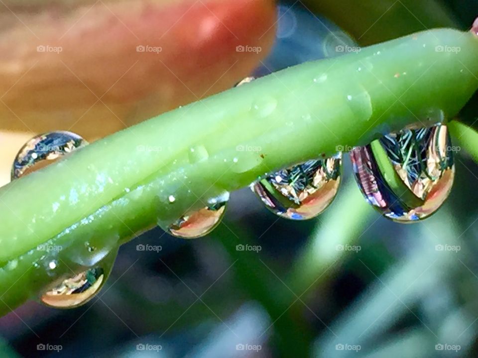 Raindrop Reflections