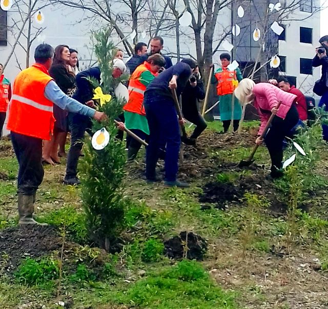 Planting Trees